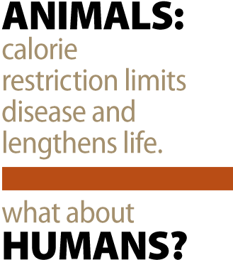 Animals: Calorie restriction limits disease and lengthens life. What about Humans?