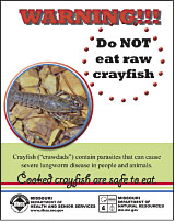WARNING: Do not eat raw crayfish!