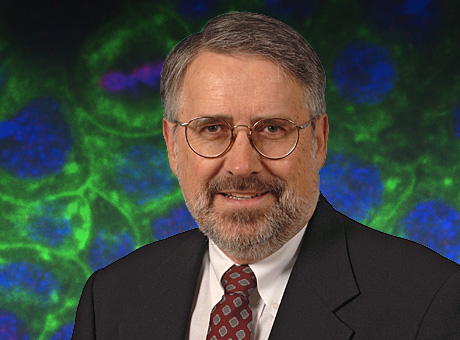 Robert P. Mecham, PhD
