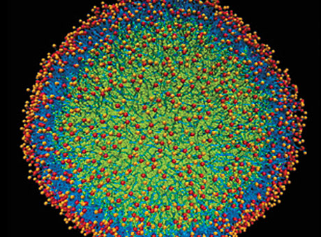A computer simulation of a nanoparticle