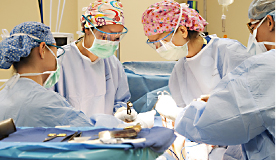Surgeons performing a nerve regeneration technique