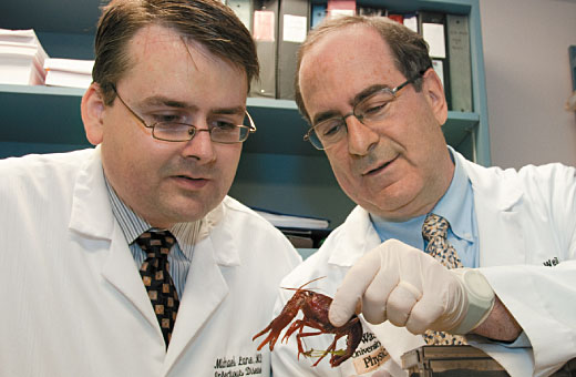 Michael A. Lane, MD and Gary J. Weil, MD